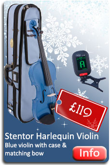 Stentor Harlequin Violin