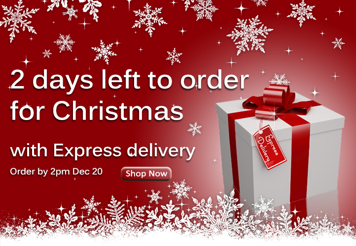 2 days left to order for Christmas with express delivery