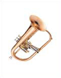 Flugel Horn