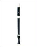 Tenor Recorder