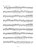 100 Classical Studies For Flute (Universal) additional images 2 3