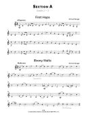 Thirty Tuneful Studies For Clarinet In B Flat Clarinet (Clifton Ed) additional images 1 2