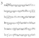 Bone Of Contention: Trombone Bass Clef (Brasswind) additional images 1 2