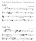 Turtle Tango: Recorder (Brasswind) additional images 1 2