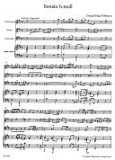 Sonata B Minor: Flute (Barenreiter) additional images 1 2