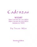 Cadenzas To Mozarts Flute Concertos (Emerson) additional images 1 1