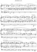 By Babylons Streams: Organ Music Of The English Romantic School additional images 2 2