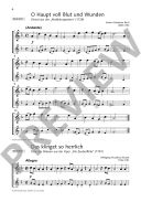 Classical Hits: Descant Recorder: 1 Or 2 Recorders Book & Audio additional images 2 1