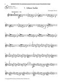 Big Beats: Techno Treat: Violin (B&H) additional images 1 2