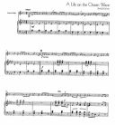 Winners Galore: Tenor Horn Eb Piano Accomp  (lawrance) additional images 1 2