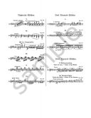 Piano Works Vol.4 Etudes (Peters) additional images 1 2