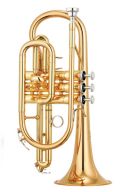 Yamaha YCR-4330GII/02 Cornet additional images 1 1
