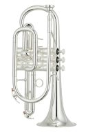 Yamaha YCR-4330GSII/02 Cornet additional images 1 1