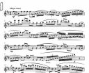 Fantasy Pieces: Flute Solo (Brasswind) additional images 1 2