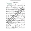 The Orchestral Violinist Vol.2: Violin (friend) additional images 1 2