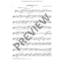 The Orchestral Violinist Vol.2: Violin (friend) additional images 2 1