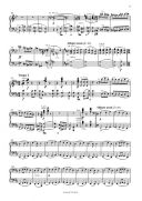 Finale Of Symphony No.9 D Minor Op.125: Vocal Score  (Breitkopf ) additional images 2 1