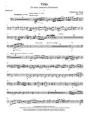 Trio: Oboe, Bassoon and Piano additional images 2 1