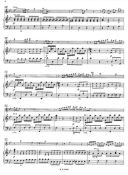 Concerto G Minor Qv5: 193: Flute & Piano (Peters) additional images 1 3