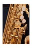 Buffet 400 Series Lacquer Finish Alto Saxophone additional images 1 3