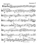 Concertino Op.4: Trombone  TC & BC (Alto) & Piano (Brasswind) additional images 1 2