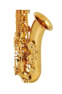 Buffet 100 Series Lacquered Finish Tenor Saxophone additional images 1 3