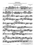Cadenzas: Concerto: D Major: Violin (Schott) additional images 1 2