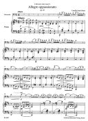 Allegro Appassionato Op.43: Cello  (Barenreiter) additional images 1 2