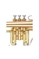Yamaha YFH-8315G02 Flugel Horn additional images 1 2