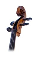 Paesold 601E 4/4 Cello additional images 1 3