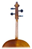 Paesold 601E 4/4 Cello additional images 2 2