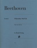 Flutenduo: Flute Duo: Woo26: Flute Duet (Henle HN973) additional images 1 1