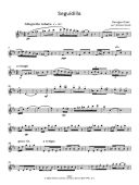 Bizet Notebook: Fantasia On Carmen: Flute Solo (Clifton) additional images 1 3