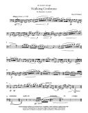 Walking Cimbrone: Bassoon And Piano additional images 1 2