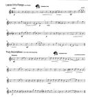 Winner Scores All: Flute Solo (Brasswind) additional images 1 2