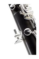 Buffet Divine A Clarinet Outfit additional images 2 2