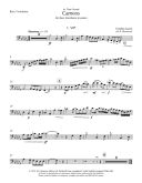 Cameos: Bass Trombone & Piano (Emerson) additional images 1 2