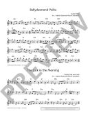 The Irish Flute Book: Flute Book & Audio Online additional images 1 2