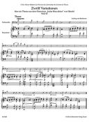 Variations: WoO45 OP66 WoO46: Cello  & Piano (Barenreiter) additional images 1 2