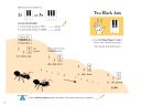 Piano Adventures: Lesson & Theory Book: All-In-Two Primer Level additional images 1 2