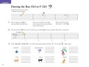 Piano Adventures: Lesson & Theory Book: All-In-Two Primer Level additional images 1 3