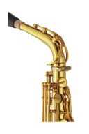 Yamaha YAS-82Z03 Custom Alto Saxophone additional images 1 2