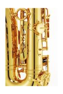 Yamaha YAS-82Z03 Custom Alto Saxophone additional images 2 2