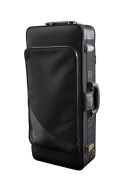 Yanagisawa AWO1  Alto Saxophone additional images 1 2