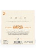 D'Addario EJ67 8 String Mandolin Loop End Set Medium 11-39 additional images 1 2