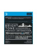 D'Addario Electric Guitar EXL120-3D Super Light 9-42 - 3 Pack additional images 1 2