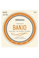 D'Addario EJ63 4 String Tenor Banjo Loop End Set Medium 9-30 additional images 1 1