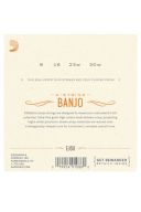 D'Addario EJ63 4 String Tenor Banjo Loop End Set Medium 9-30 additional images 1 2