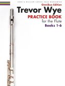 Practice Book For The Flute Omnibus Edition Books 1-6 Book & Audio (Wye) additional images 1 1