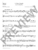 Klezmer Fiddle Tunes 33 Pieces For Violin Book & Audio additional images 2 2